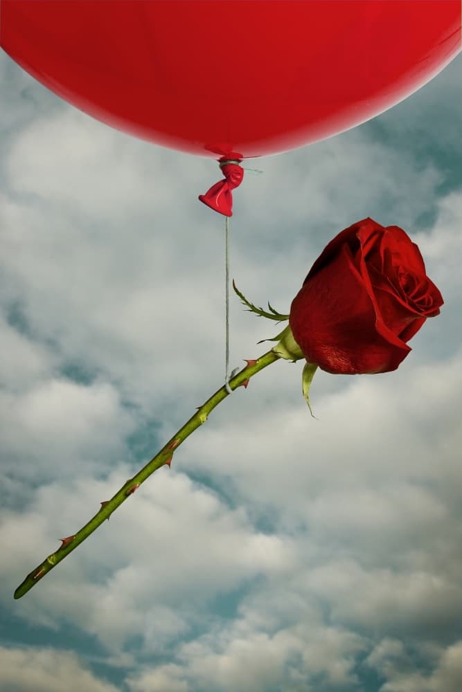 Floating Red Rose Balloon by Mister Solo — canvas wall art