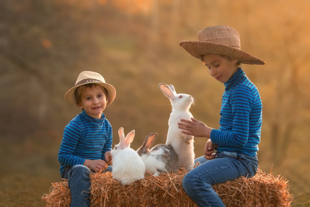 Happy Boys with Rabbits by Joško Šimic — canvas wall art