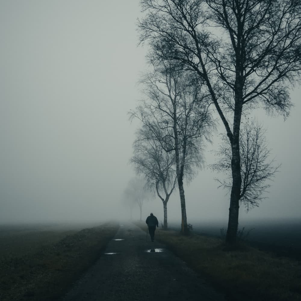 Solitary Walk Foggy Road by Renate Wasinger — canvas wall art