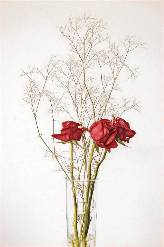 Fading Red Roses by Gilbert Claes — canvas wall art