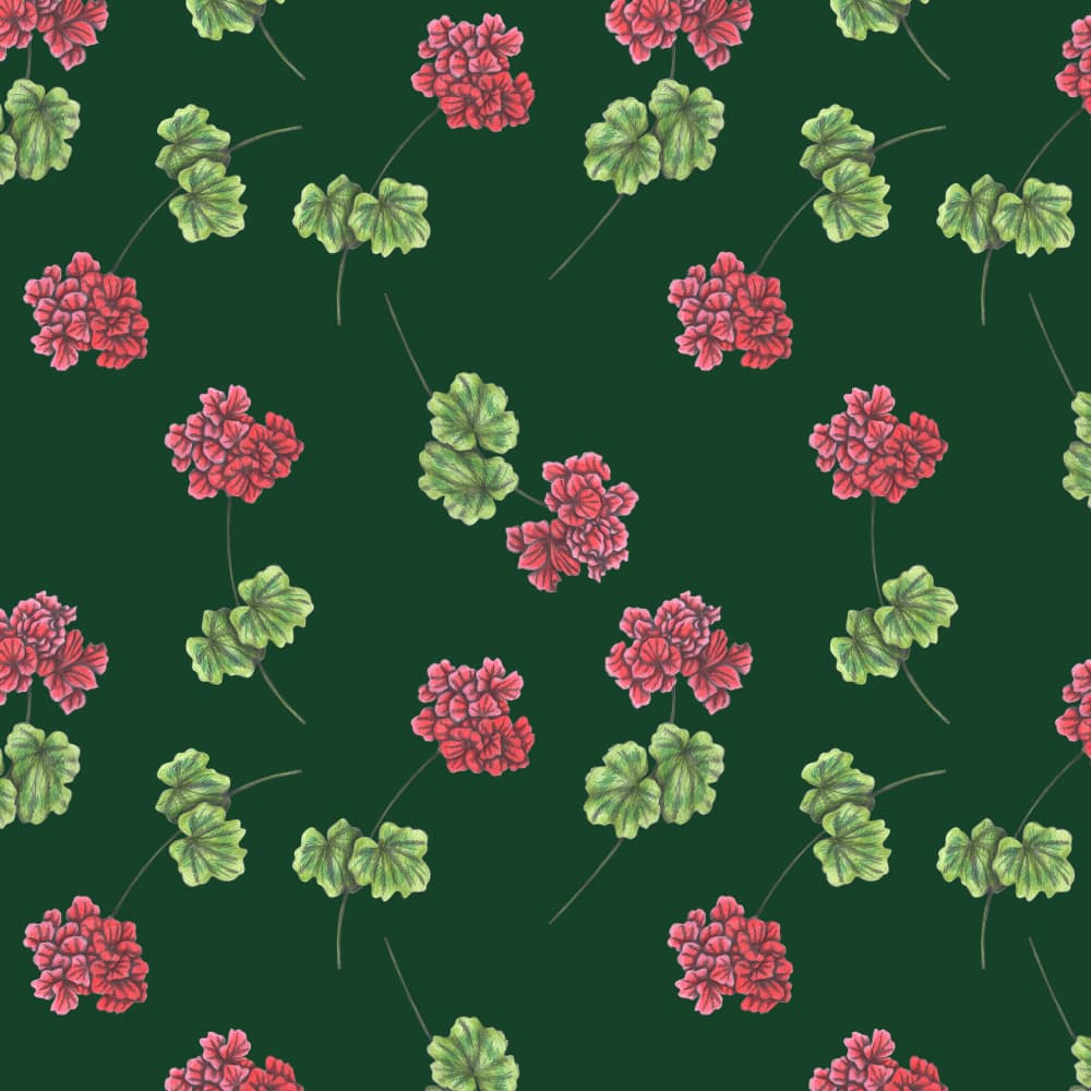 Sweet Geraniums by Cecilia Battaini — canvas wall art