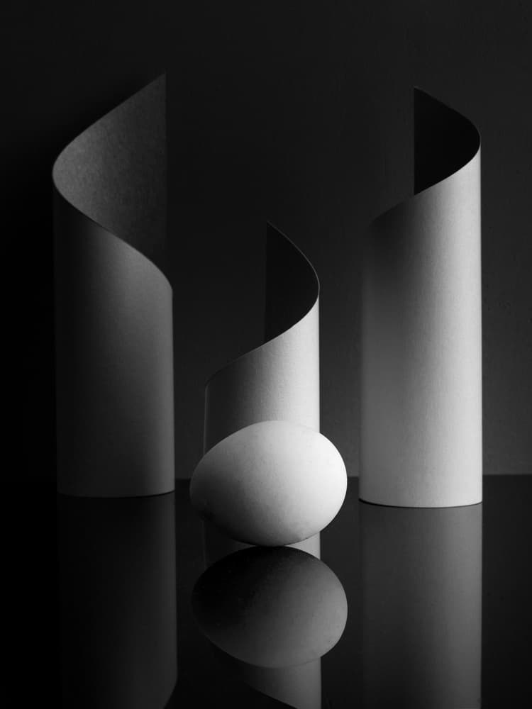 Elegant Forms And Egg by Vladimir Pavlovskyy — canvas wall art