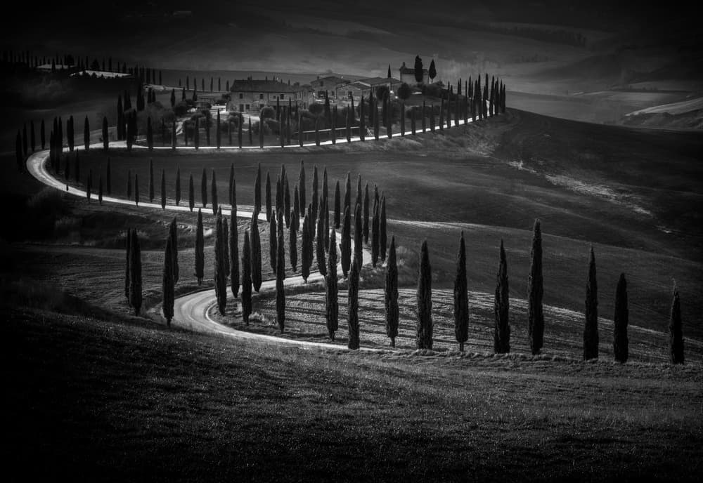 Winding Tuscan Cypress Road by Alessandro Traverso — canvas wall art