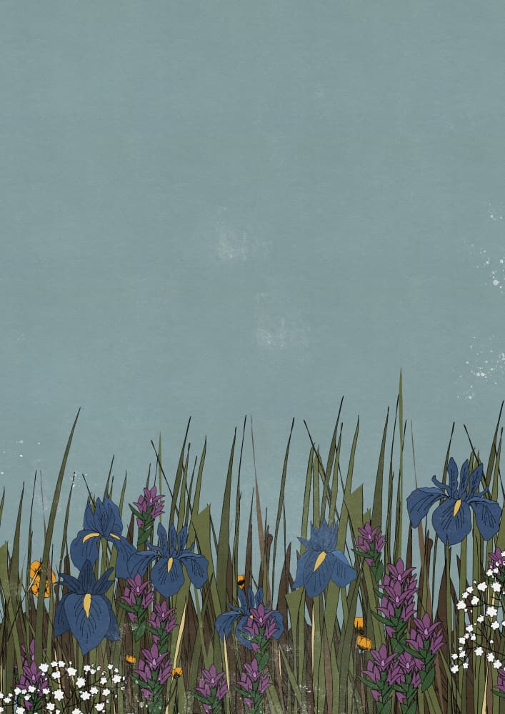 Wild Iris Meadow by Nicholas — canvas wall art