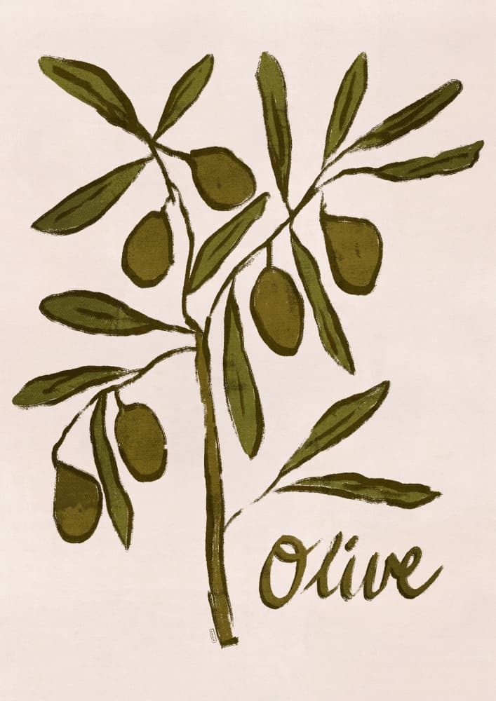 Olive Branch Minimalist Painting by Dirkie Nell — canvas wall art