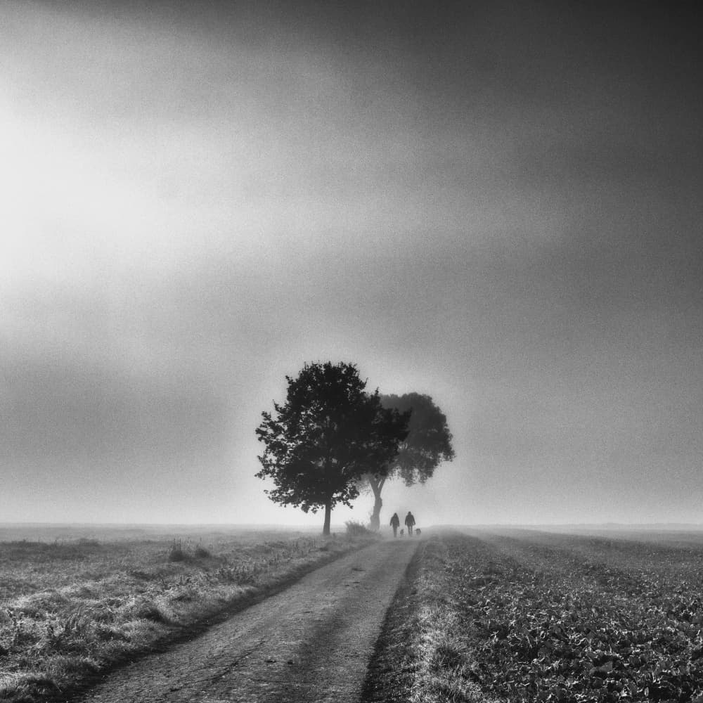 Misty Morning Walk by Robert Kuavi — canvas wall art