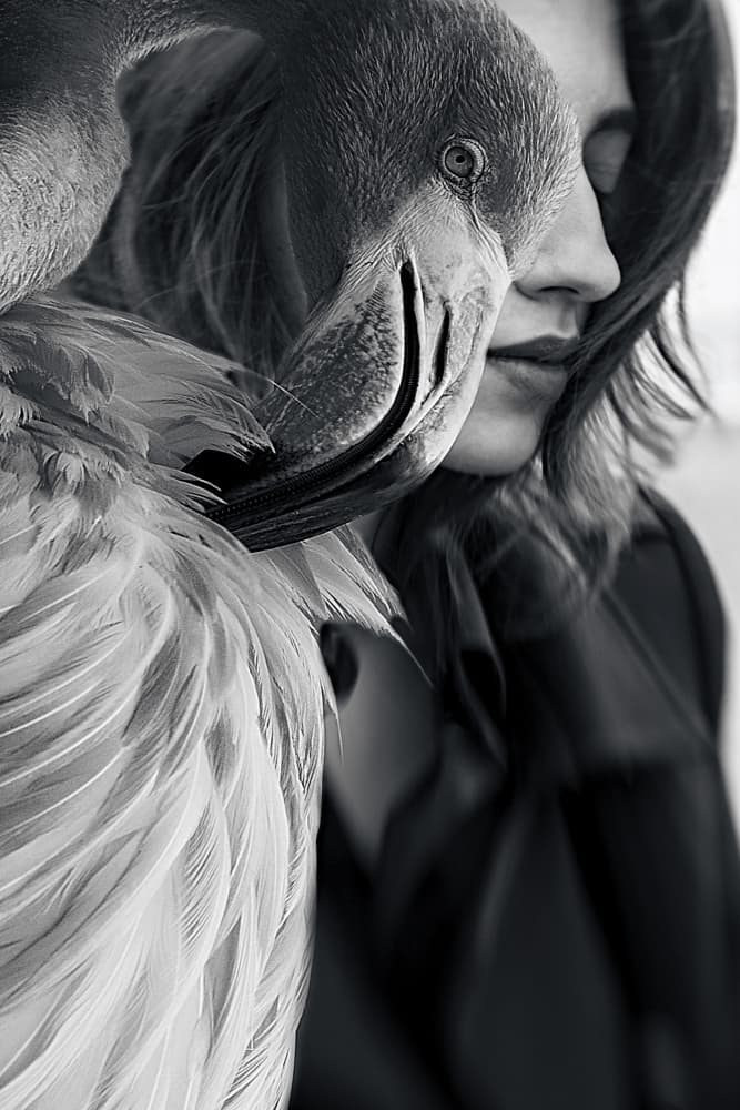Woman and Flamingo Grace by Bogdan Bouşcă — canvas wall art