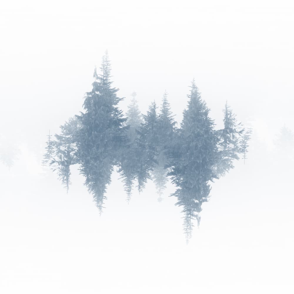 Mirrored Trees by Lynann Colligan — canvas wall art