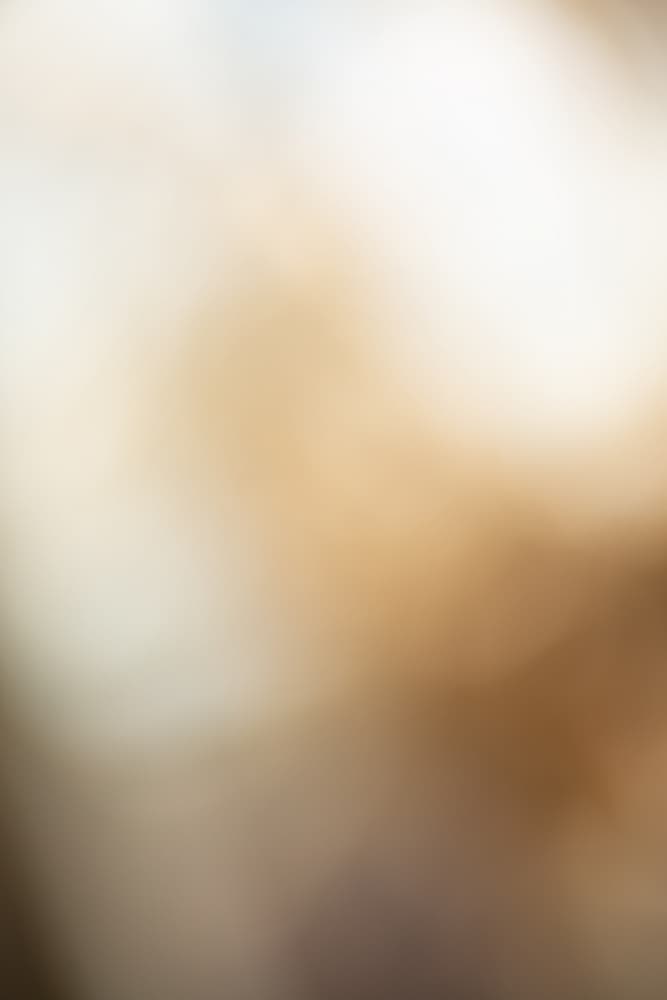 Blurred 10 by Mareike Böhmer — canvas wall art