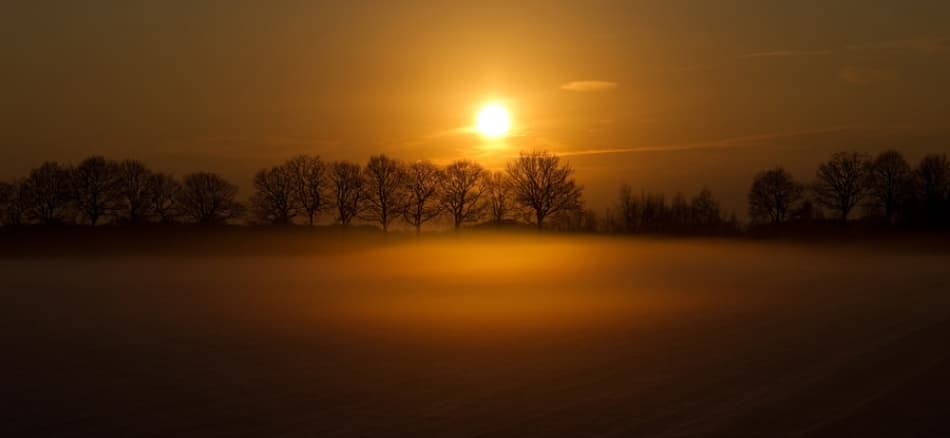 Golden Fog Sunrise by Wieteke de Kogel — canvas wall art