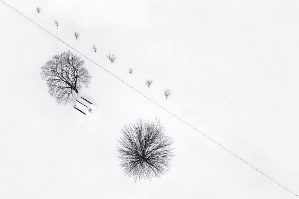 Minimalist Snowy Winter Field by Lucie Gagnon — canvas wall art