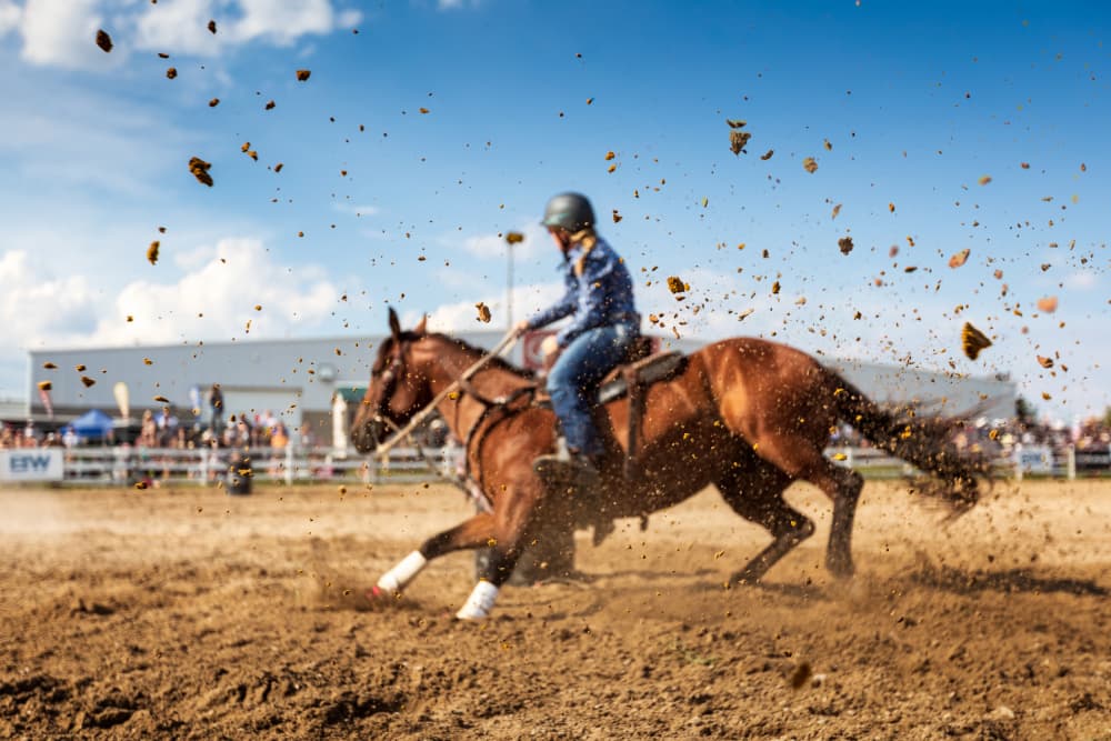 Rodeo Dust Action by Steven Zhou — canvas wall art