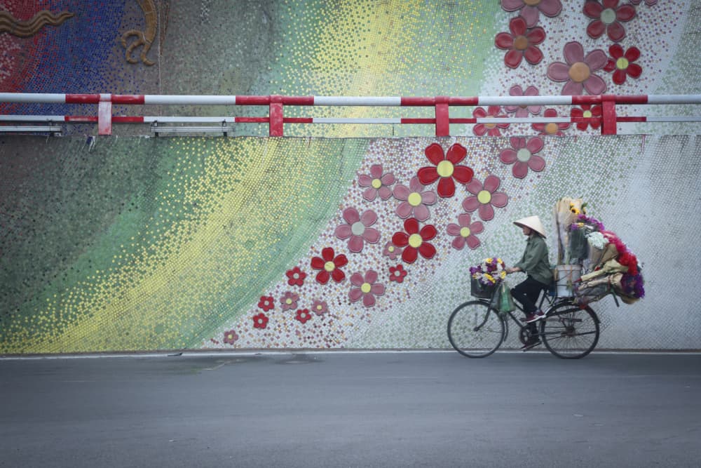 Hanoi Flower Bicycle by Clas Gustafson PRO — canvas wall art