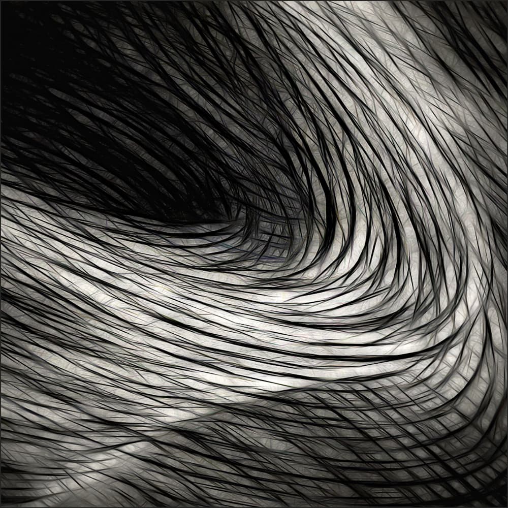 Flowing Abstract Lines by Gilbert Claes — canvas wall art