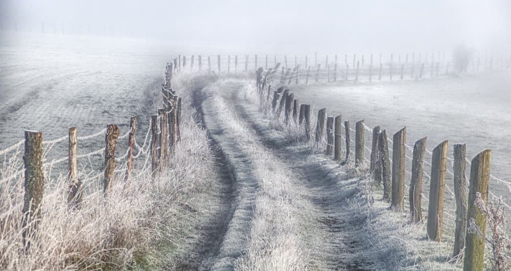 Frosty Winter Path by Guy Krier — canvas wall art