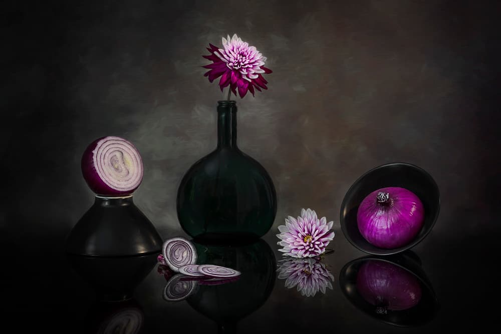 Dark Dahlias and Onions by Lydia Jacobs — canvas wall art