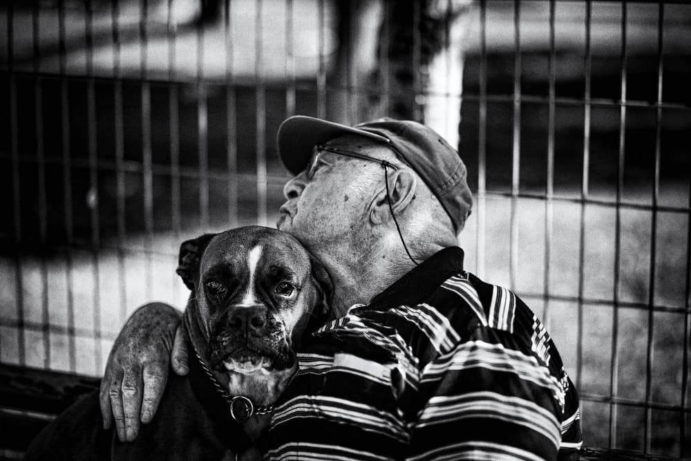 Man and His Boxer by Yuri Shepelev — canvas wall art
