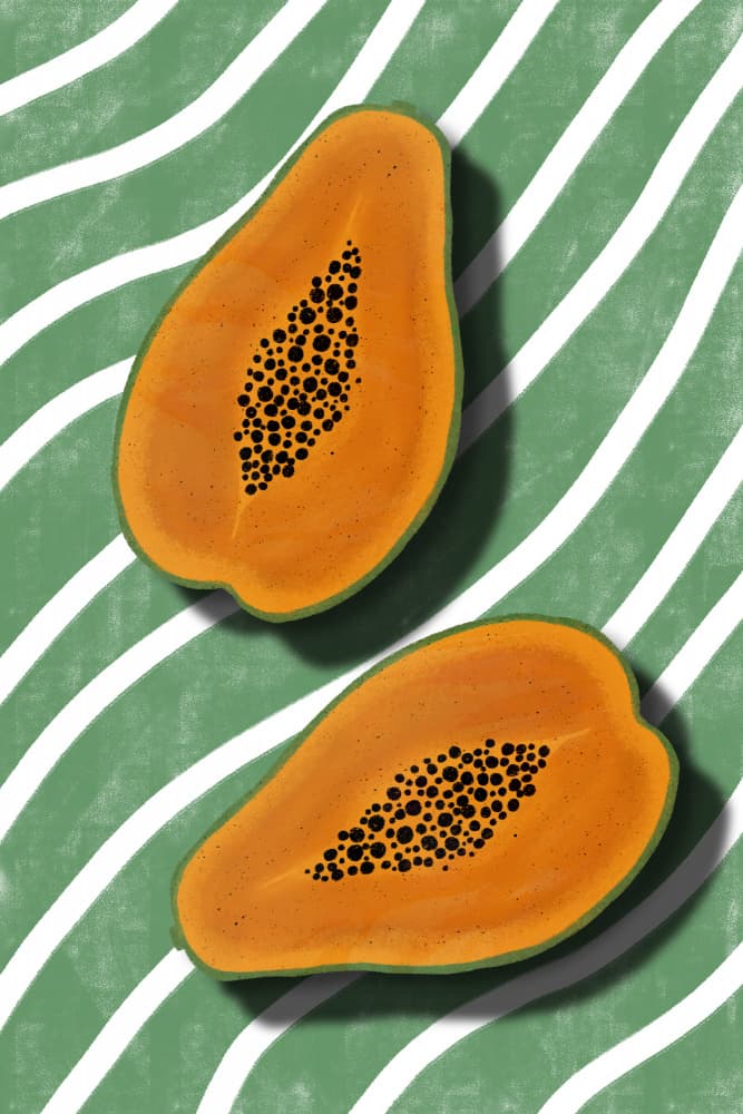 Papaya Green Stripes by EMELIEmaria — canvas wall art