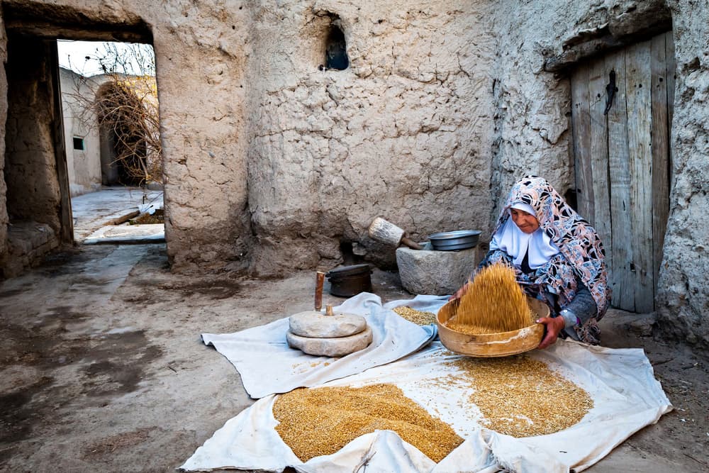 Traditional Grain Sifting by Mohammadreza Momeni — canvas wall art