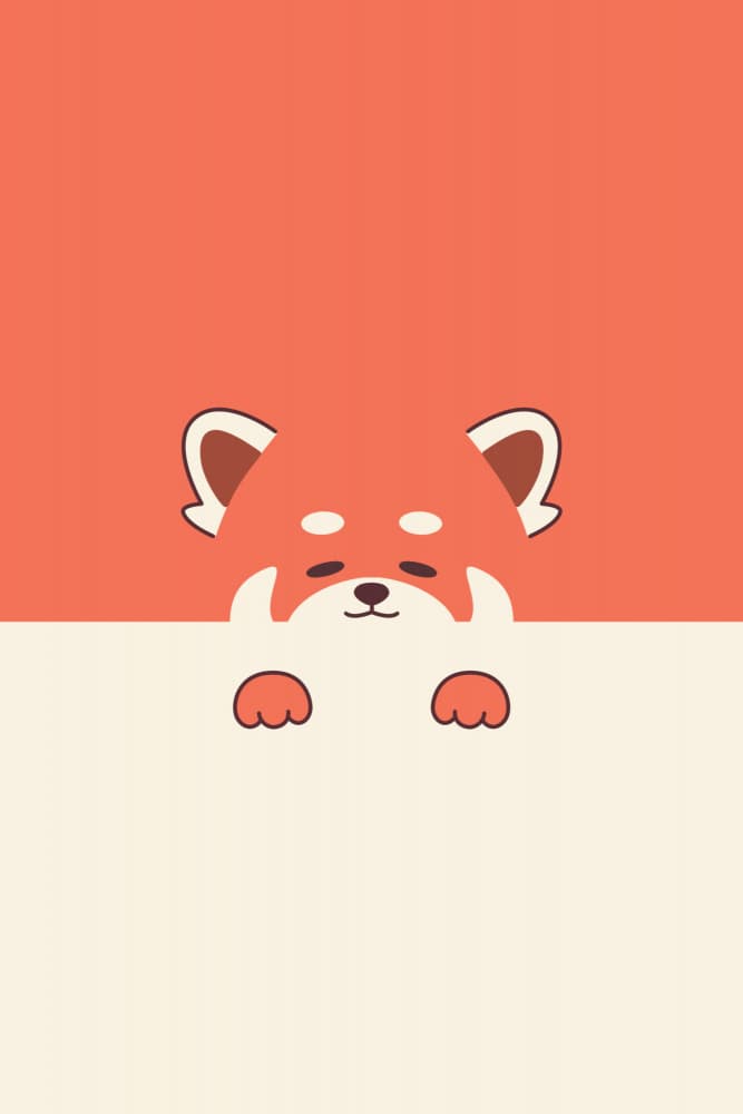 Cute Peeking Red Panda by Xuan Thai — canvas wall art