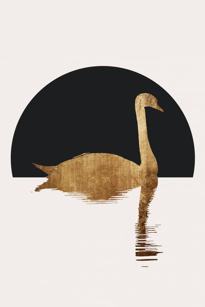 The Swan   Black by Kubistika — canvas wall art