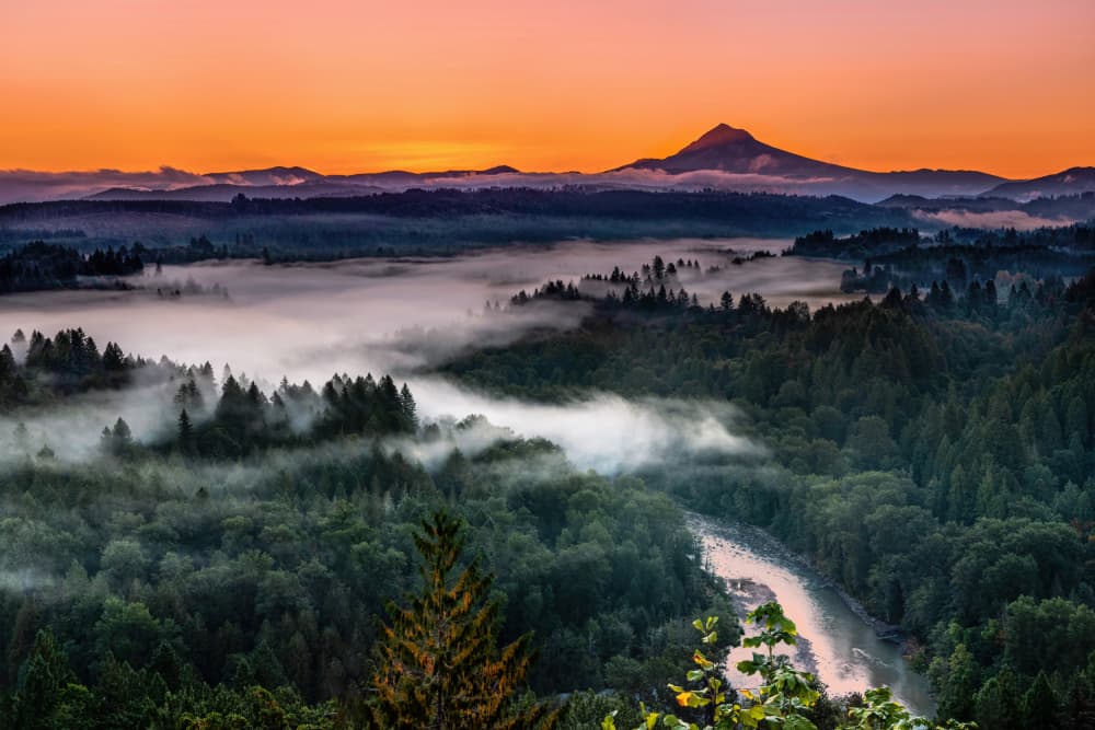 Misty Mountain Sunrise by Jie Jin — canvas wall art