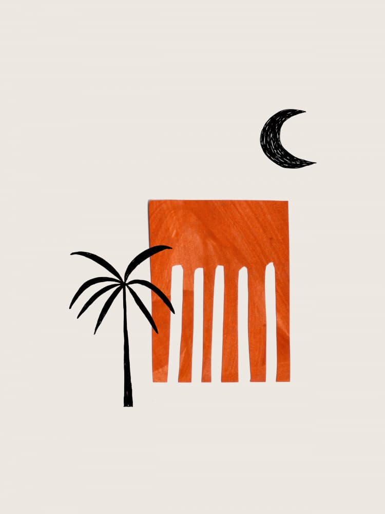 Desert Palm Moon by Ejaaz Haniff — canvas wall art