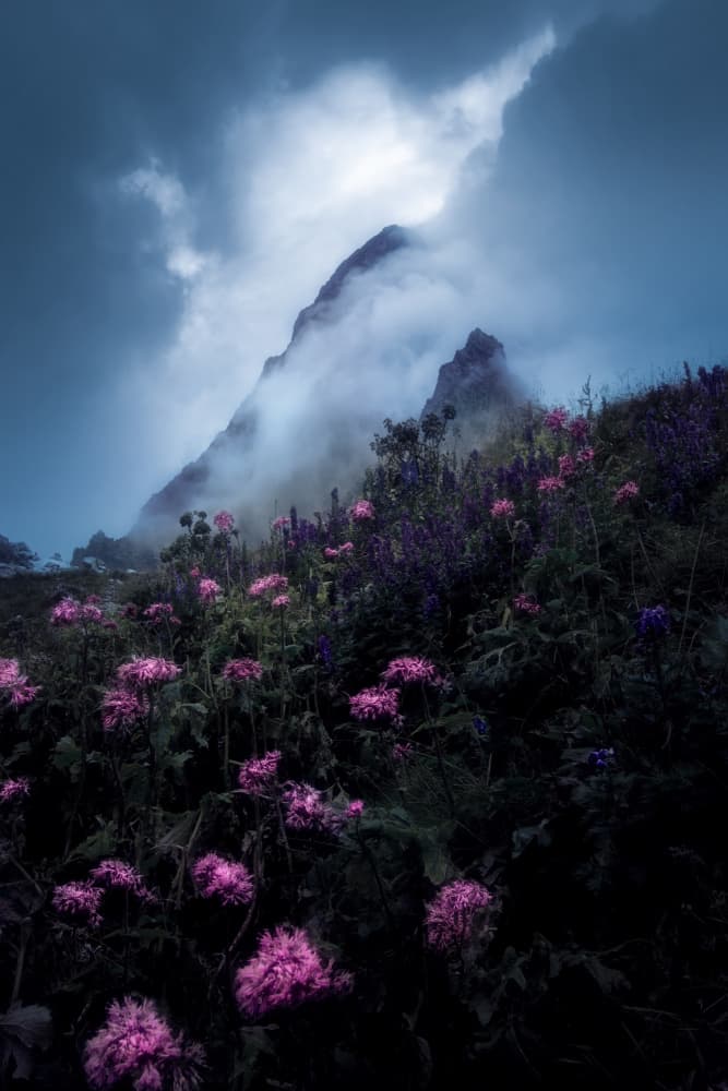 Misty Mountain Flowers by Martin Morávek — canvas wall art