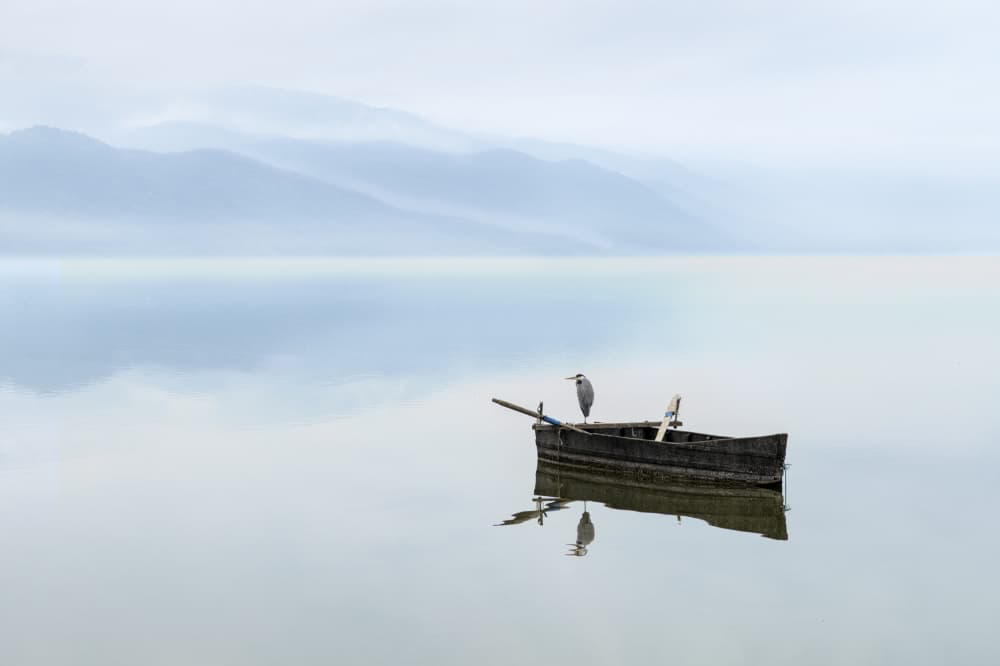 Heron on Still Lake by George Digalakis — canvas wall art