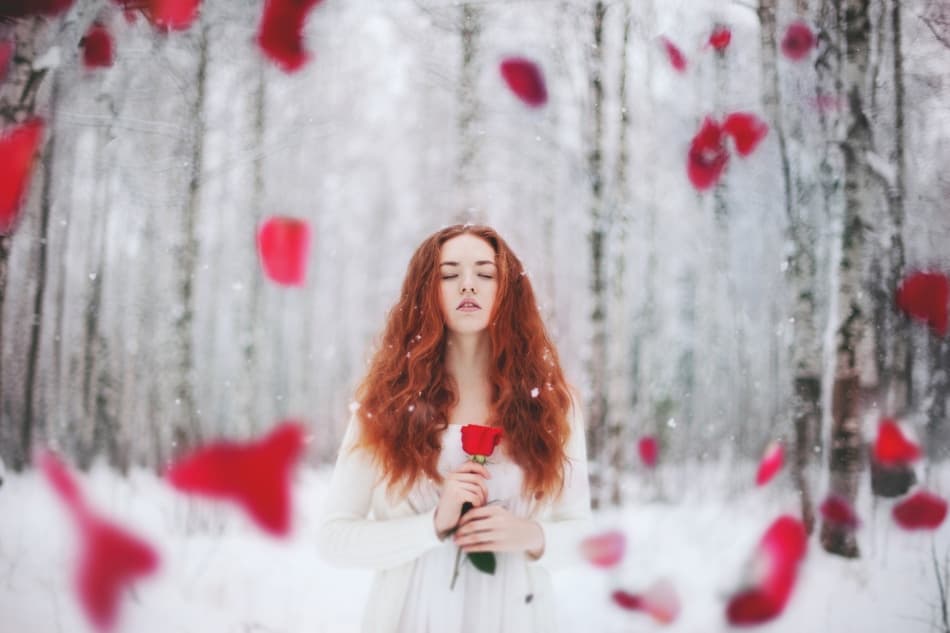 Ethereal Winter Rose by Tatiana Koshutina — canvas wall art