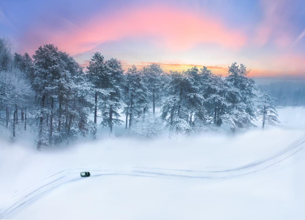 Winter Forest Dawn Drive by Ling  Lu — canvas wall art