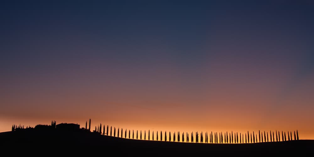 Serene Cypress Sunset by Piet Haaksma — canvas wall art