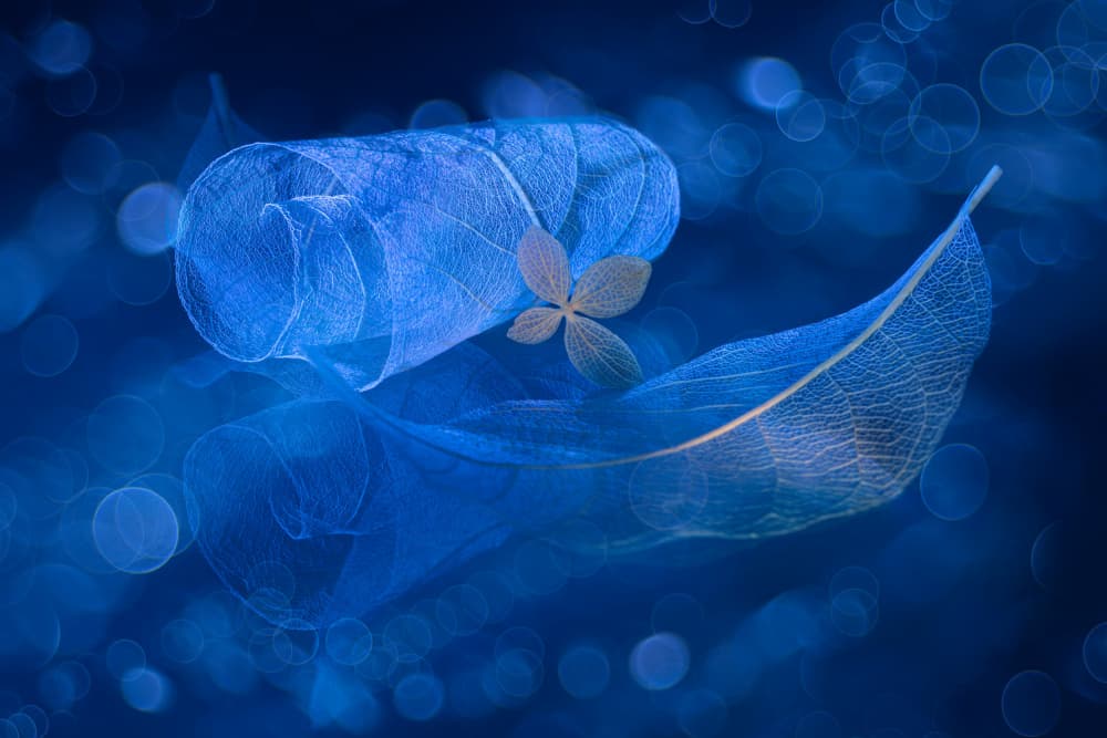 Ethereal Blue Leaves by Igor Kopcev — canvas wall art