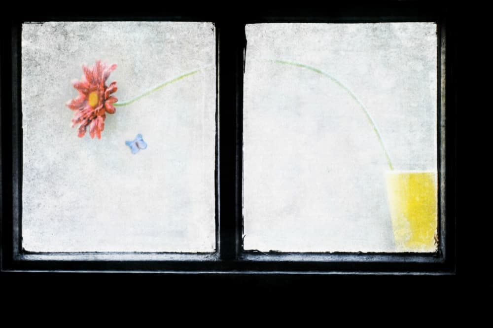 Frosted Window Still Life by Delphine Devos — canvas wall art