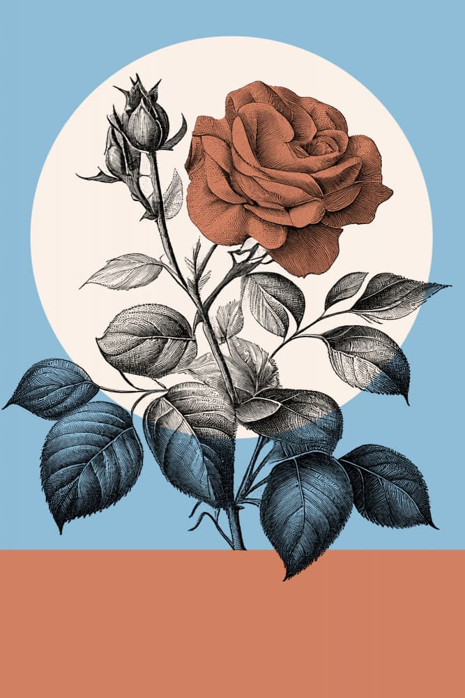 Terracotta Rose Bloom