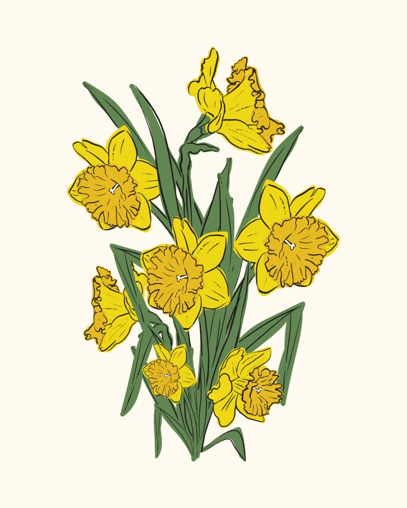 Bright Yellow Daffodils by Sonia Pal — canvas wall art