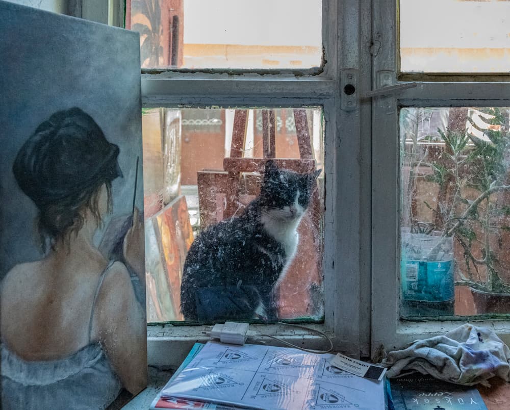 Cat at Studio Window by Ömer Ates Kızıltug — canvas wall art