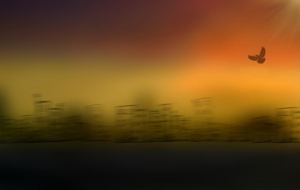Hopeful Flight City Sunset by Yvette Depaepe — canvas wall art