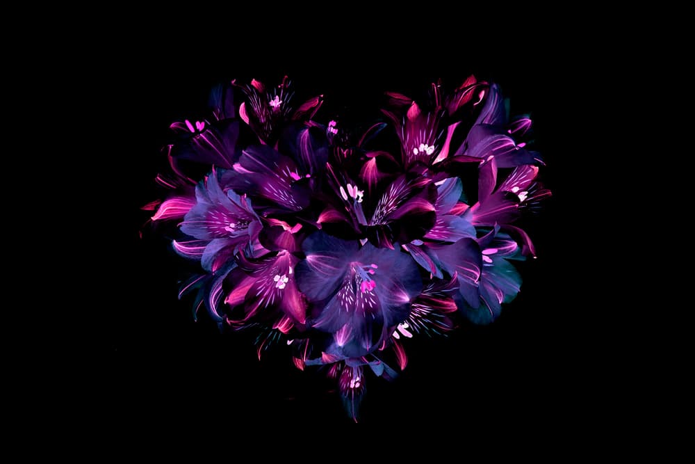 Dark Floral Heart by Jacky Parker — canvas wall art
