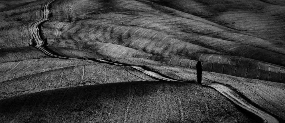 Lone Tree on Rolling Hills by Milan Uhrin AFIAP AZSF — canvas wall art