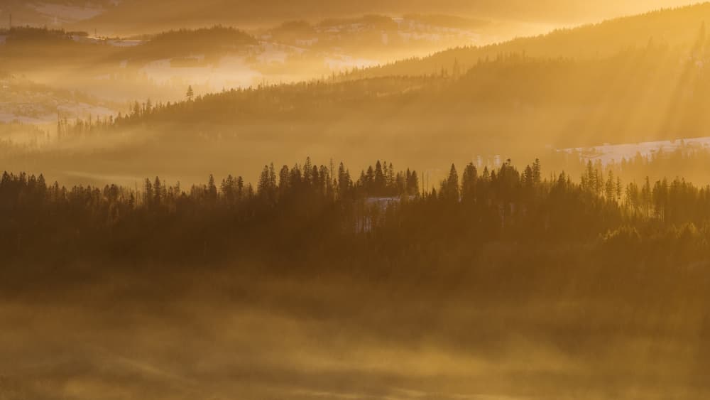 Golden Misty Forest Sunrise by Slawomir Kowalczyk AFRP FIAP IAAP — canvas wall art