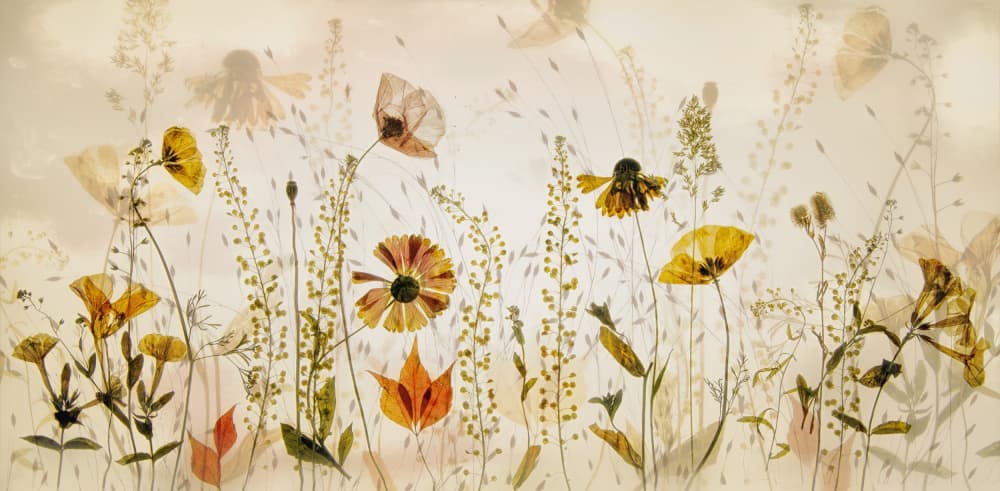 In the field... by Nel Talen — canvas wall art
