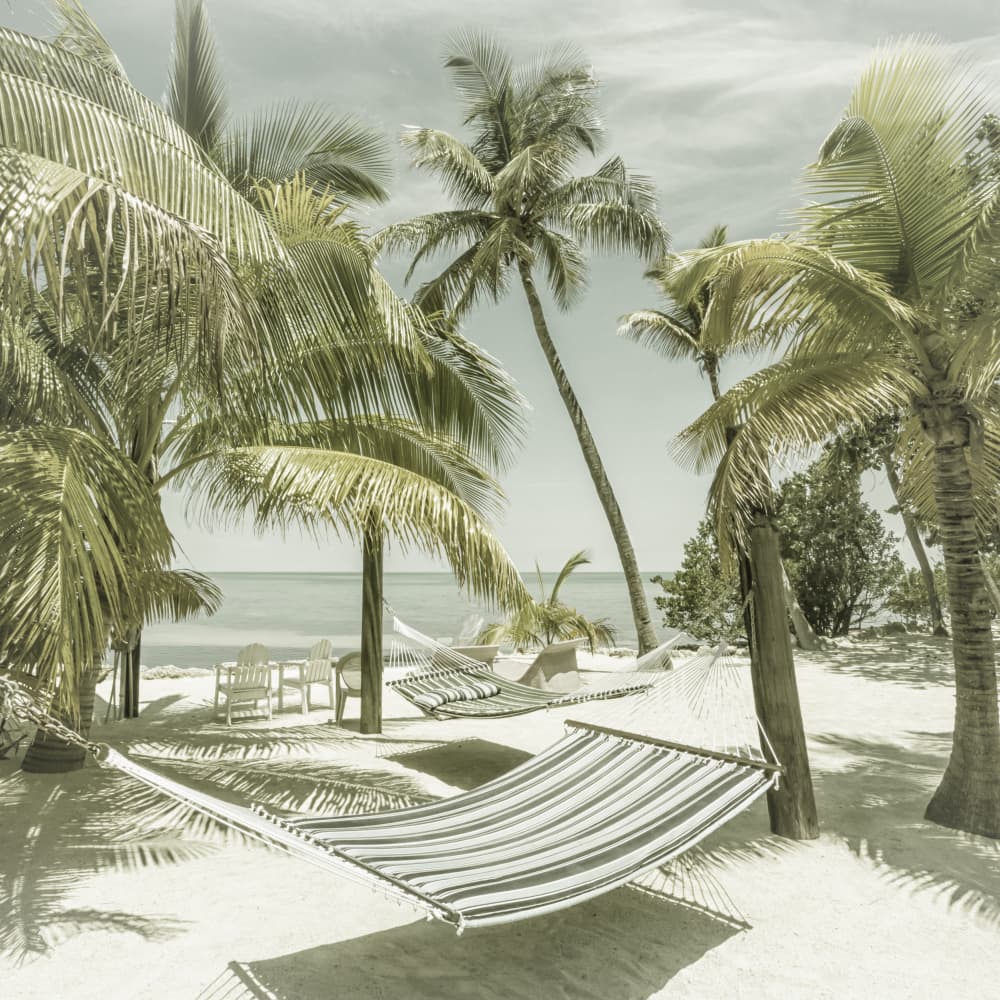 Tropical Beach Hammocks by Melanie Viola — canvas wall art