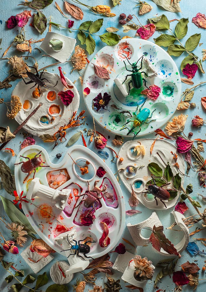 Artistic Beetles Palettes by Dina Belenko — canvas wall art