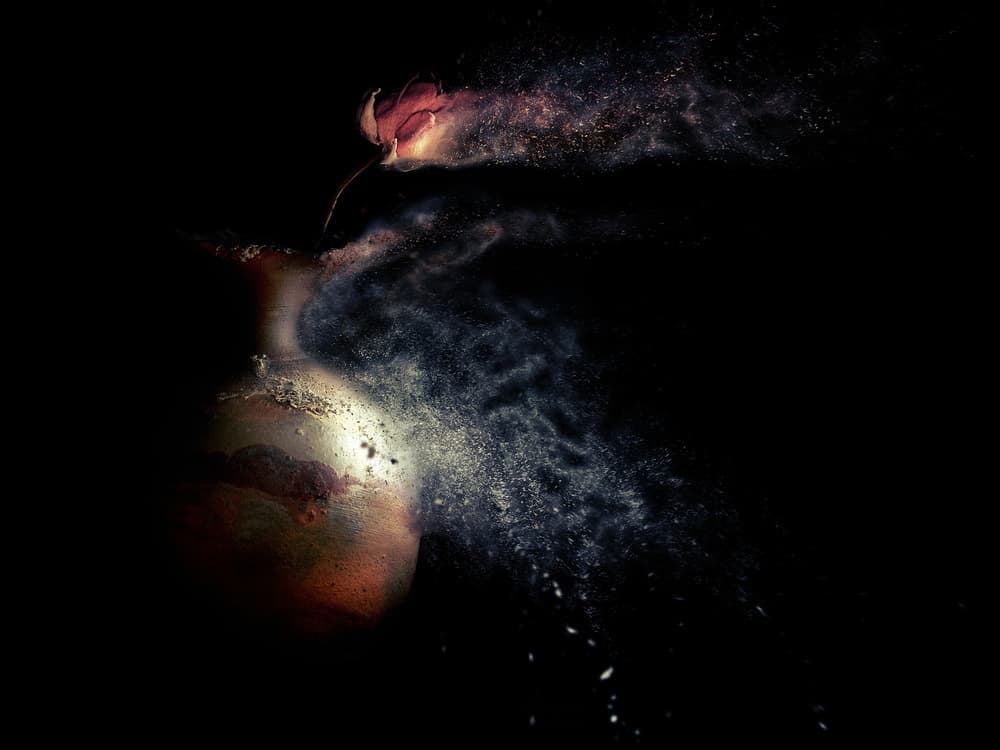 Vanishing Floral Dust by Jeffrey Hummel — canvas wall art