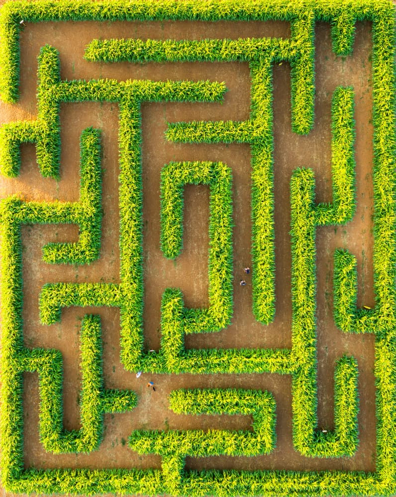 Green Garden Maze by Gilad Topaz — canvas wall art