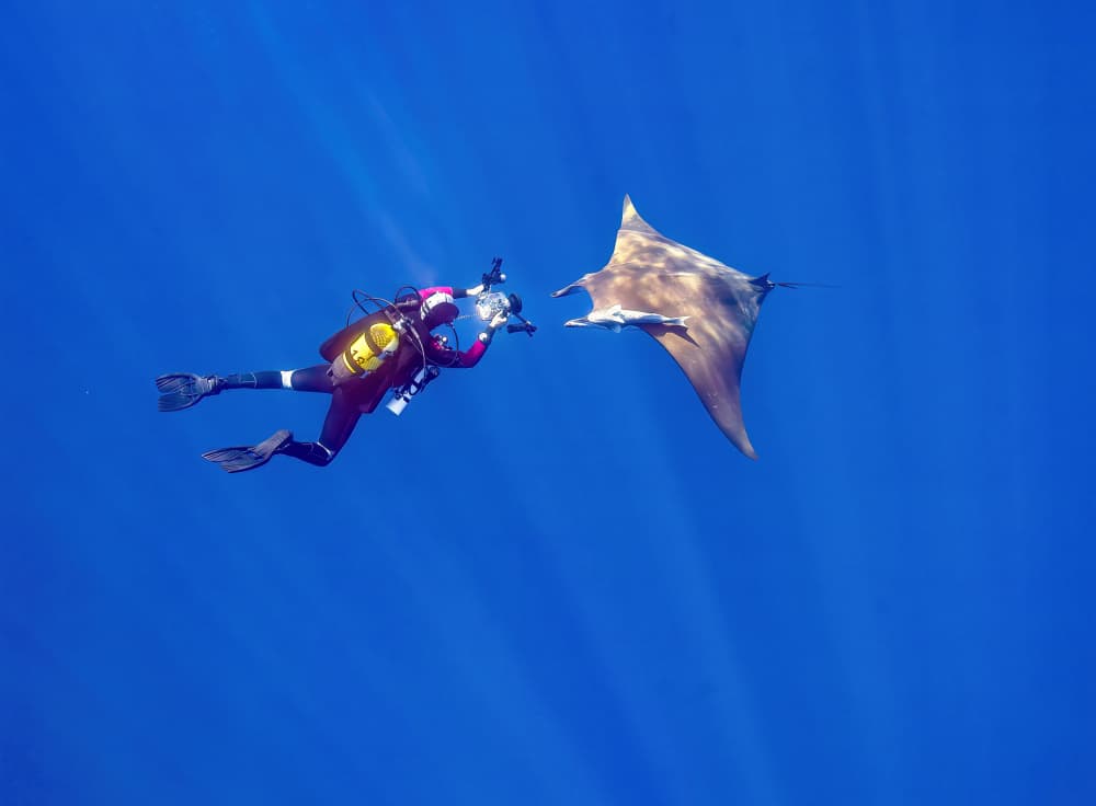 Underwater Manta Encounter by Fernando Abreu — canvas wall art