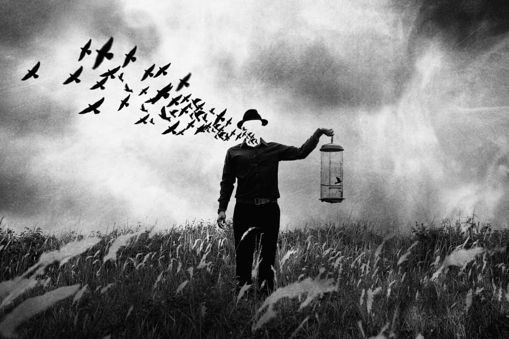 Birds From The Mind by Jay Satriani — canvas wall art