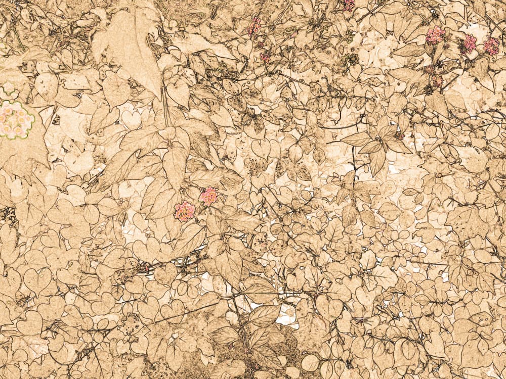 Vintage Leaves and Blossoms by Santhosh ch — canvas wall art