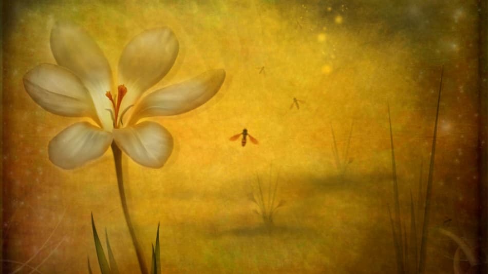 Dreamy Crocus Glow by Lotte Andersen — canvas wall art